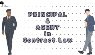 Principal and Agent in Contract