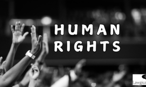 Human Rights in UDHR