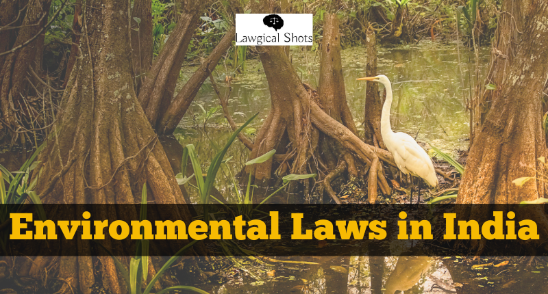 Environmental Laws