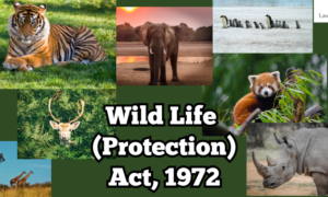 Wild Life Protection Act