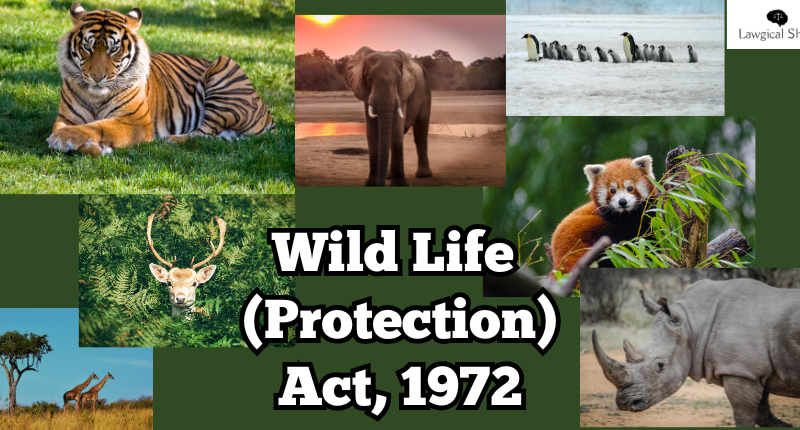 Wild Life Protection Act