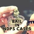 Judgments on Bail in NDPS Act.