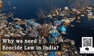 ecocide laws in India