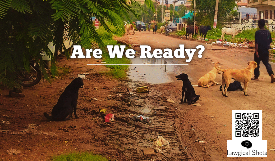 SC decision on stray dog relocation