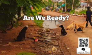 SC decision on stray dog relocation