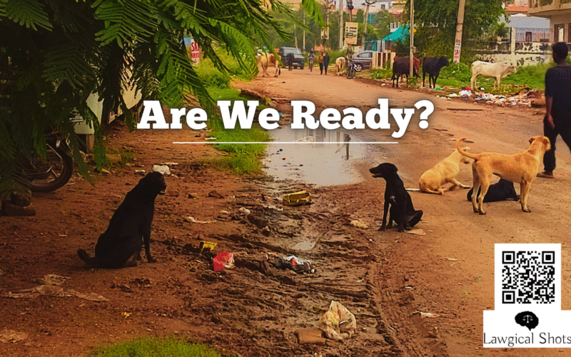 SC decision on stray dog relocation