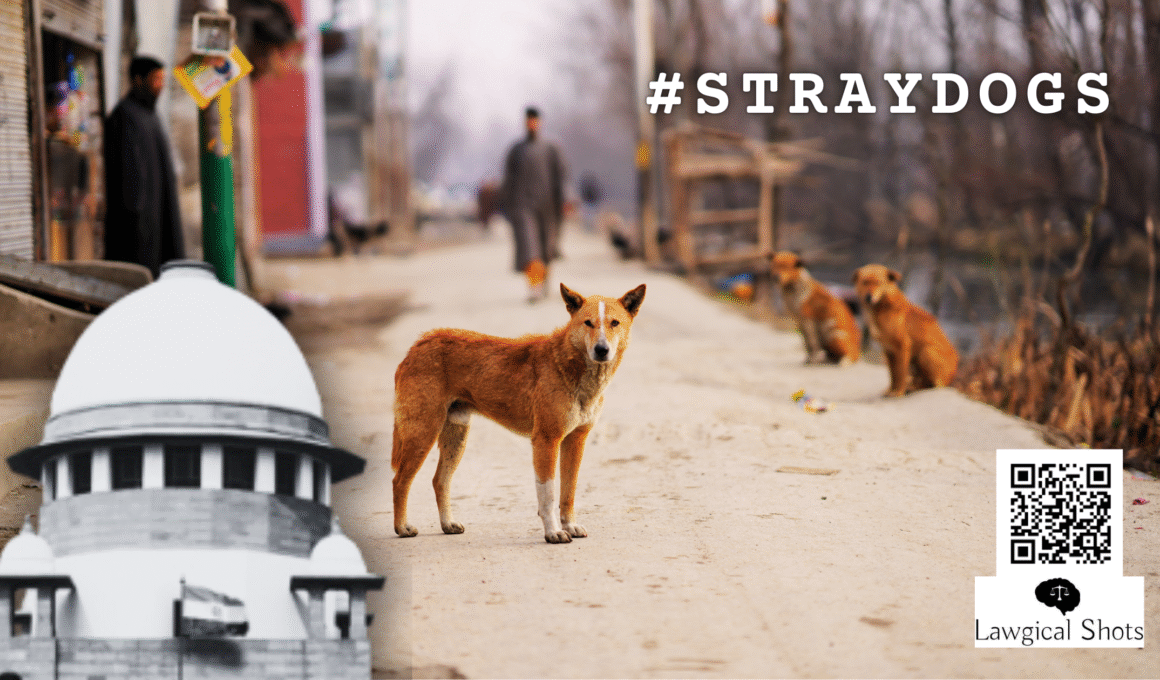 SC stray dogs order