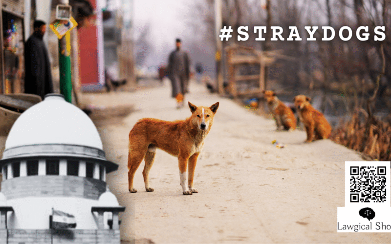 SC stray dogs order