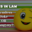 misogynystic remarks