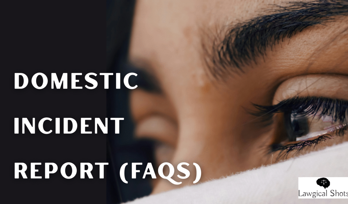 domestic incident report