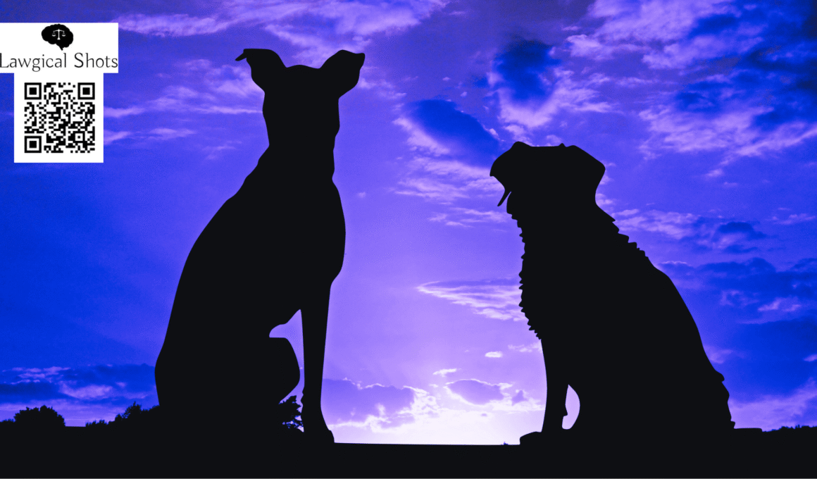 stay dog order supreme court