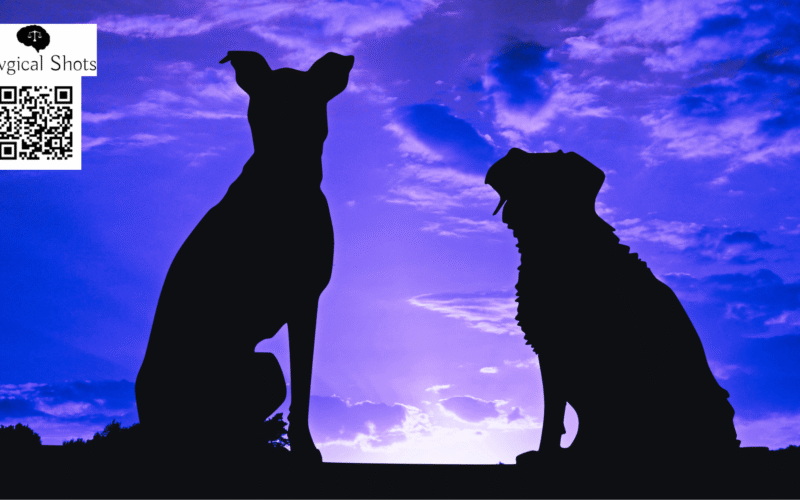 stay dog order supreme court